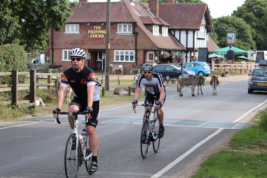 Cyclists in The New Forest